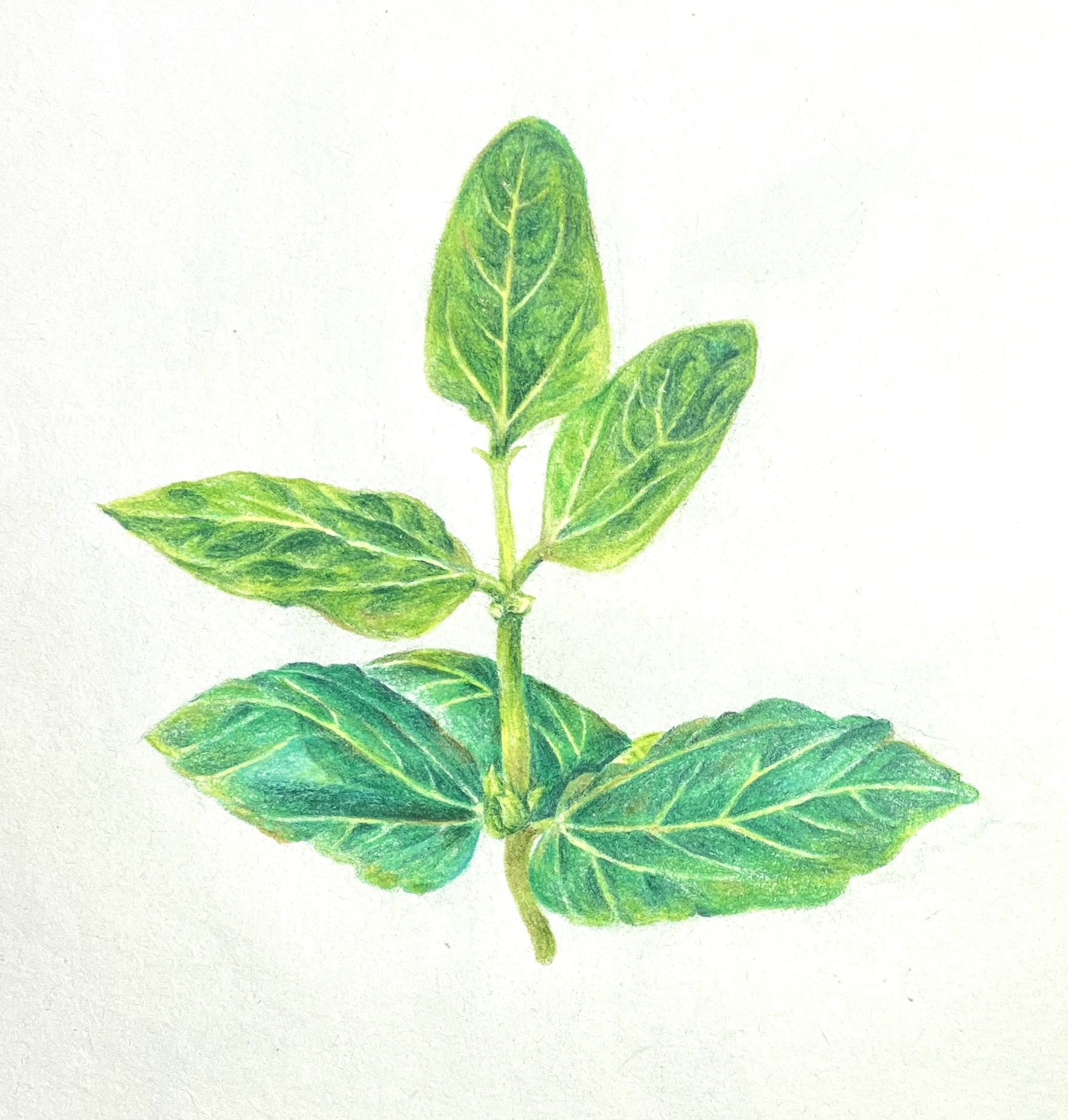 Artwork 1