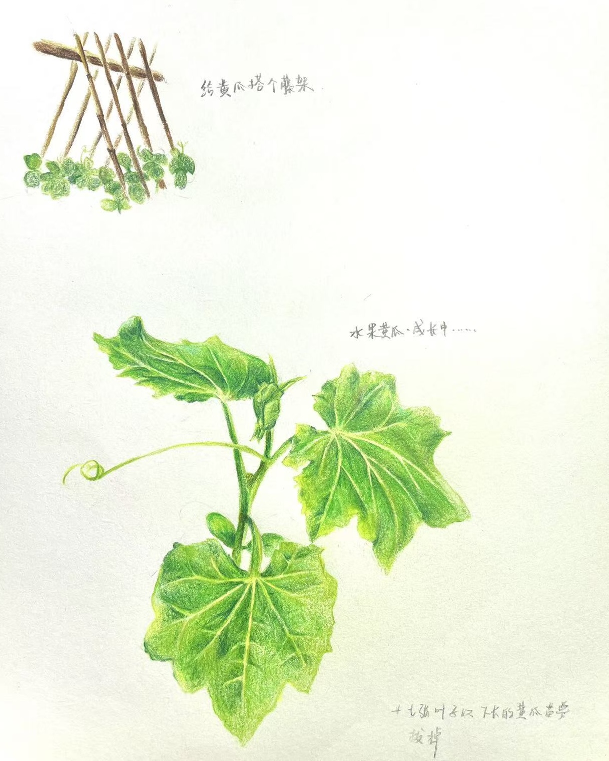 Artwork 5
