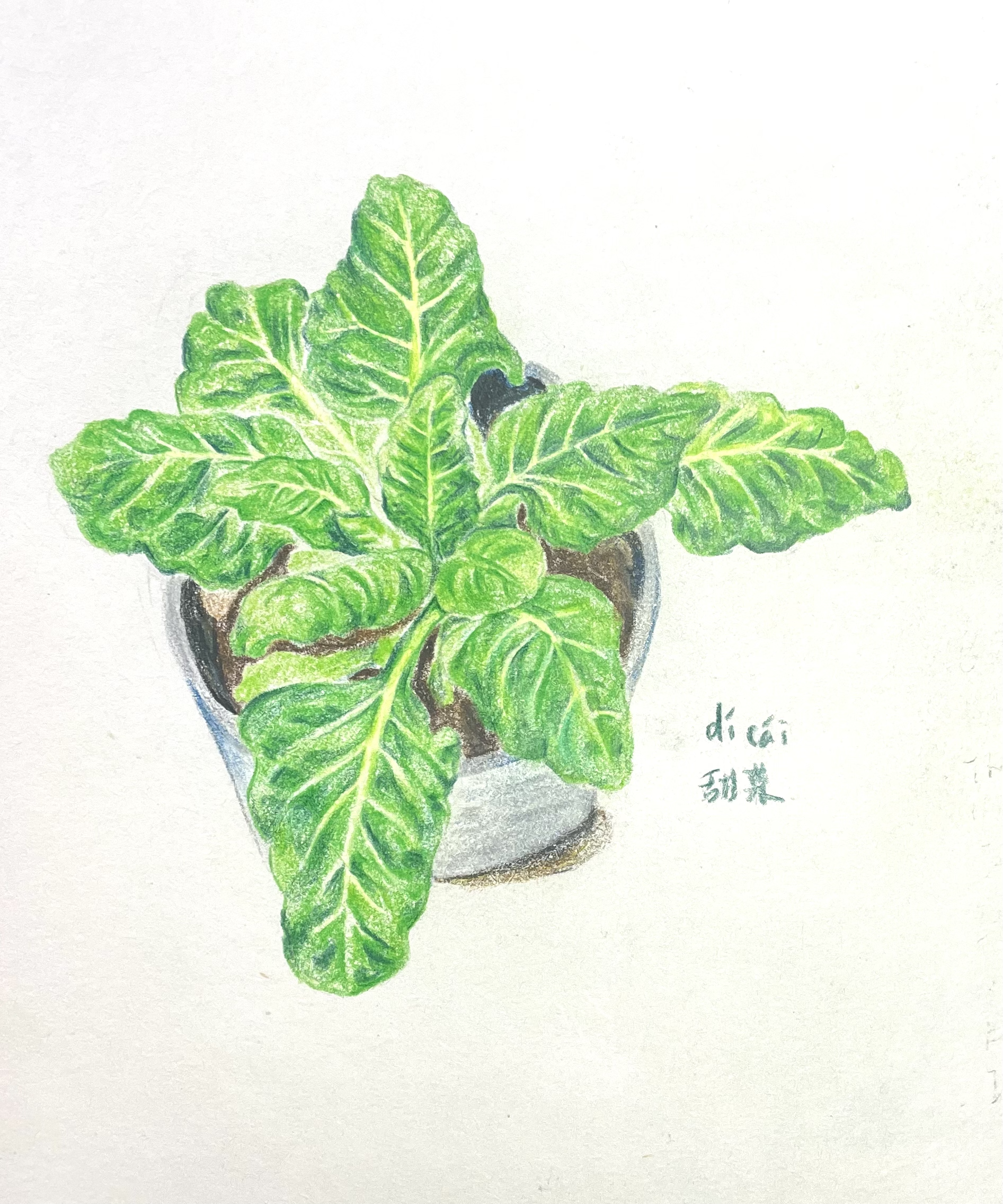 Artwork 7