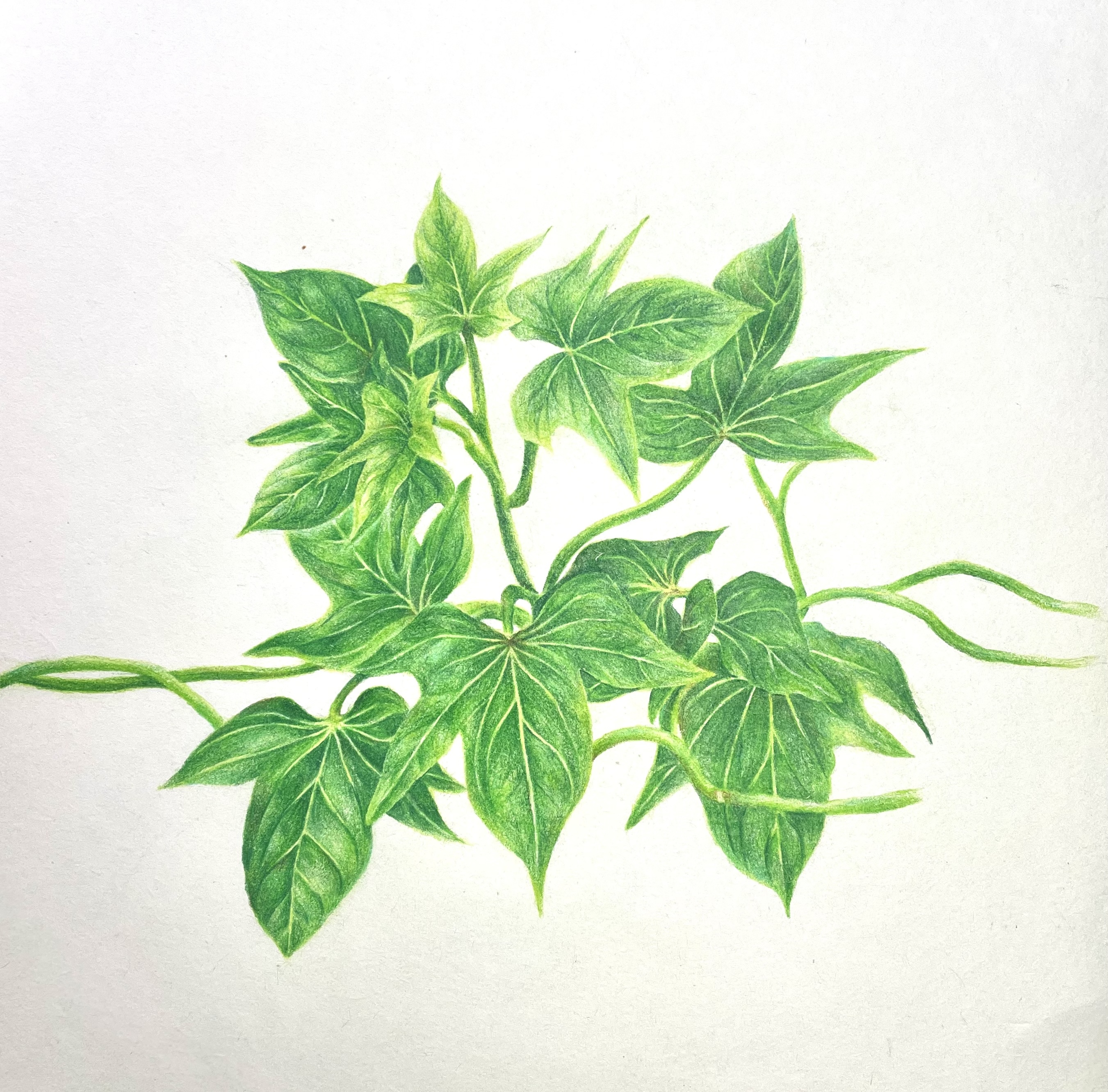 Artwork 8