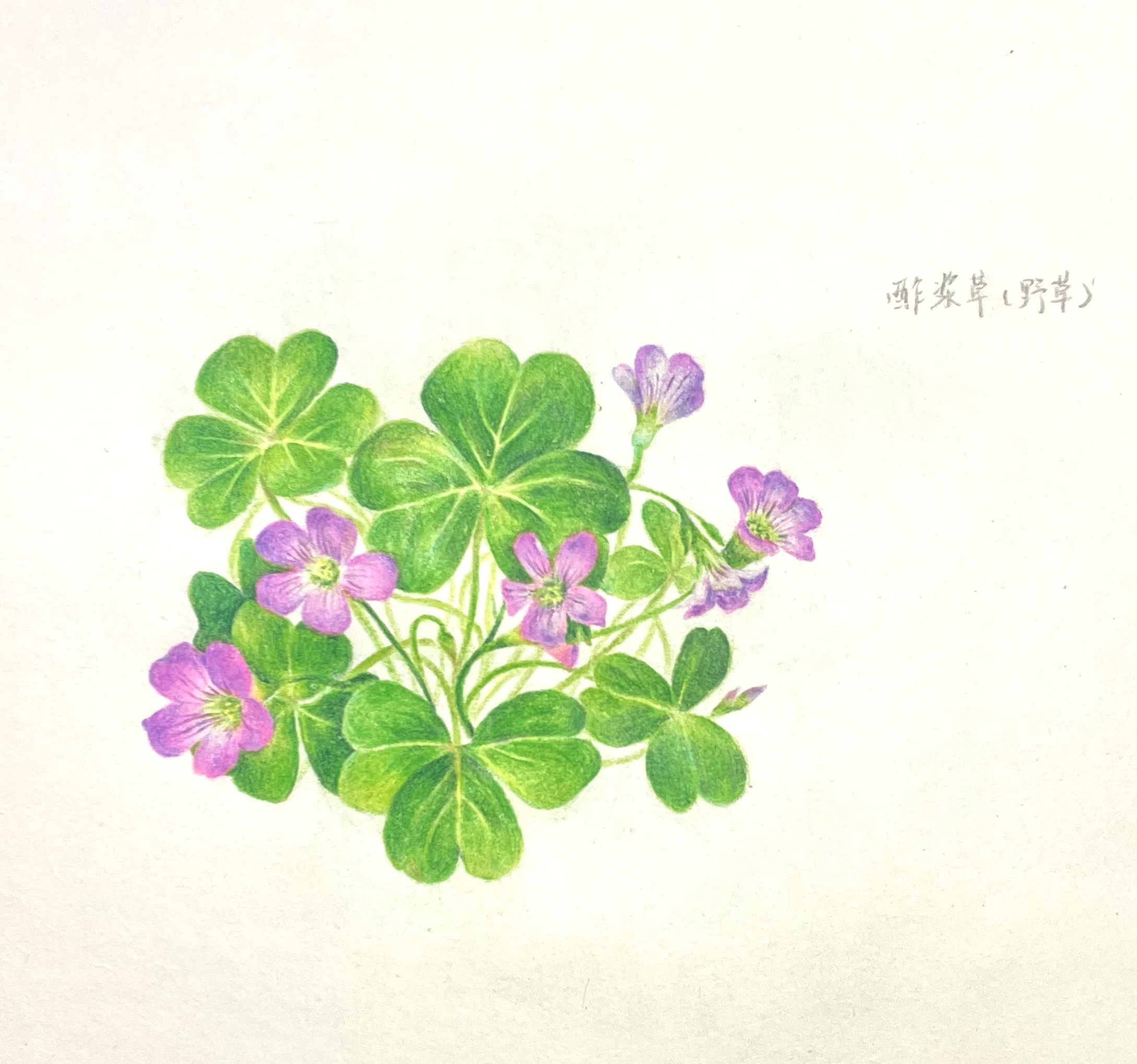 Artwork 12