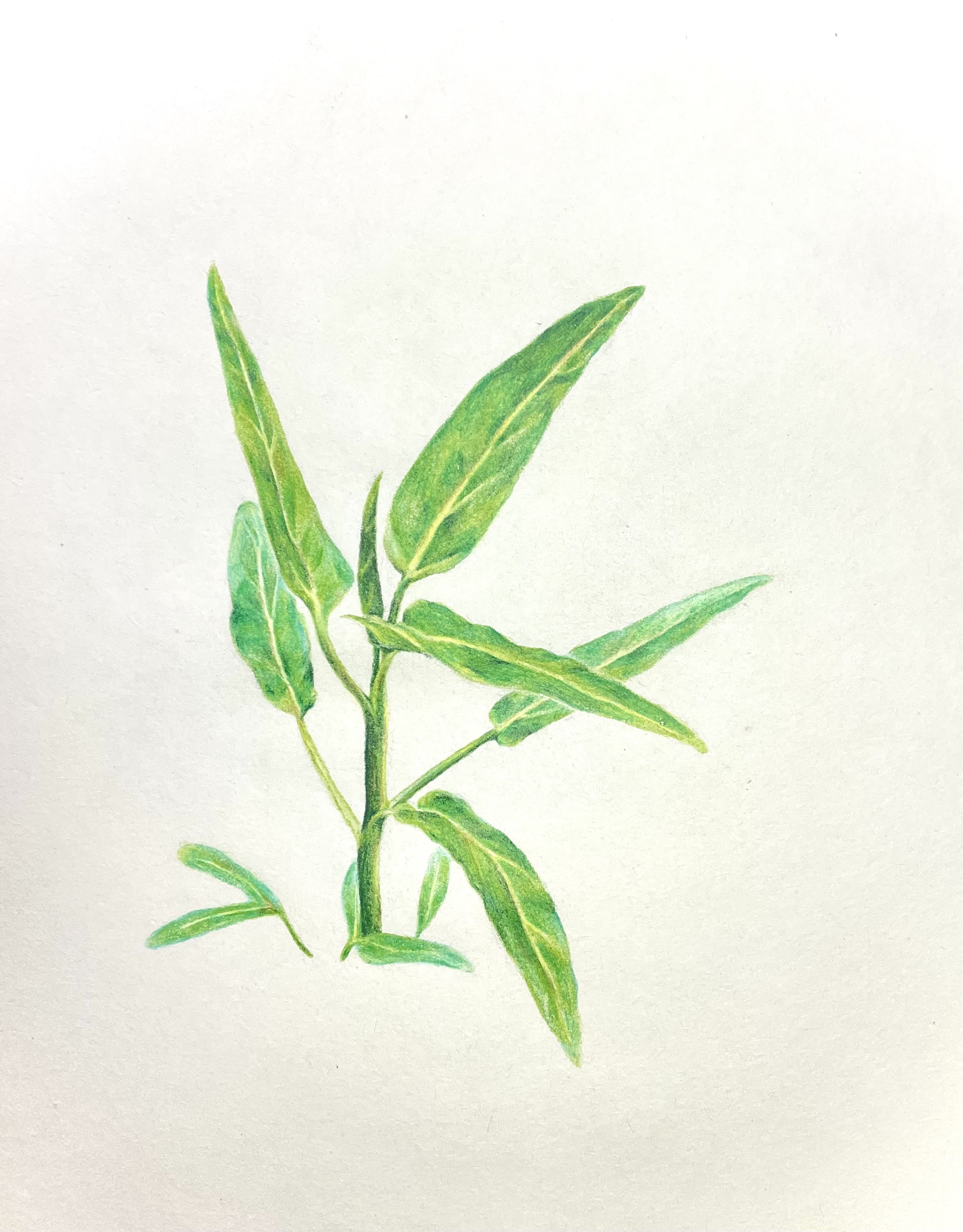 Artwork 13