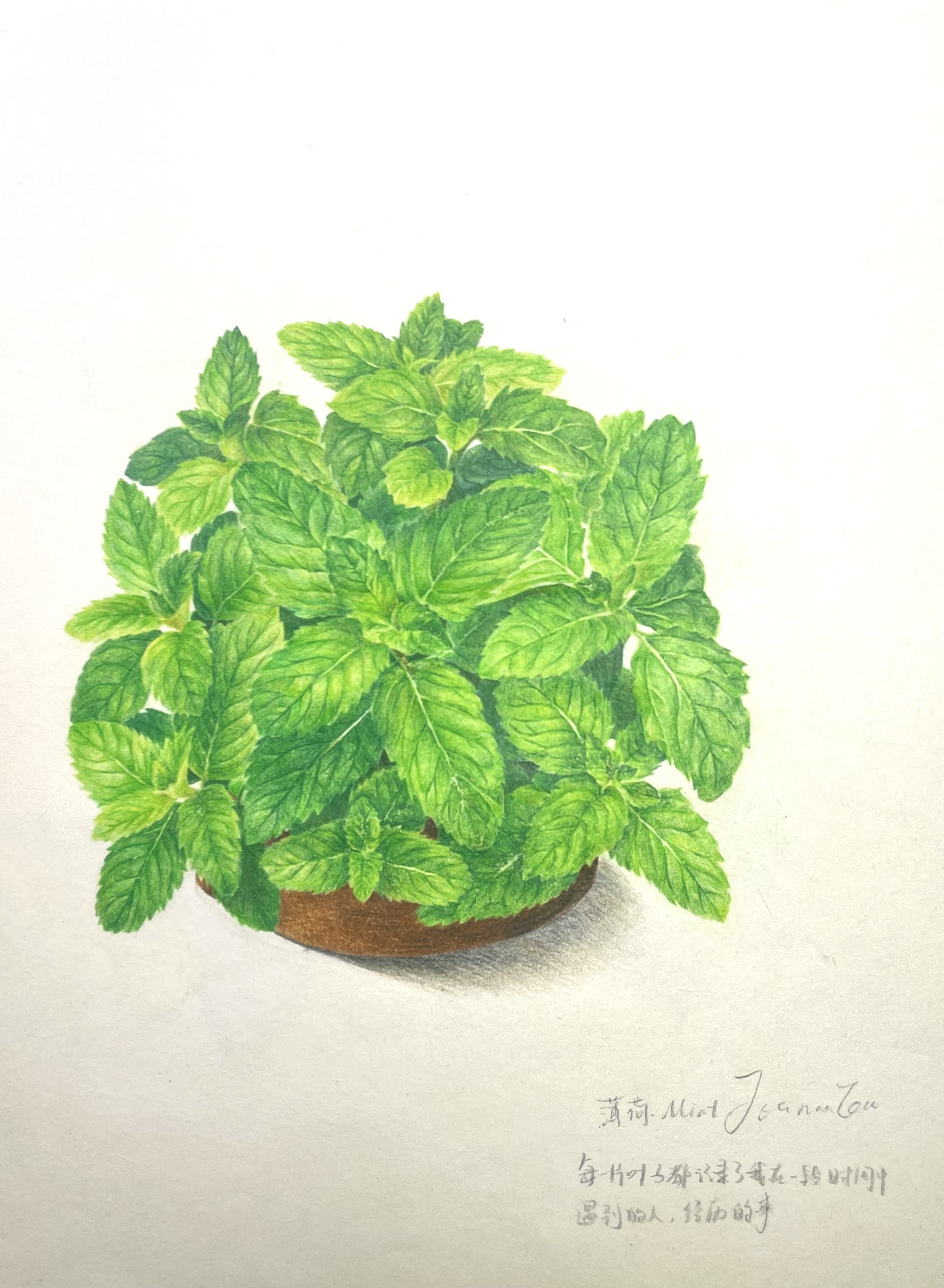 Artwork 15