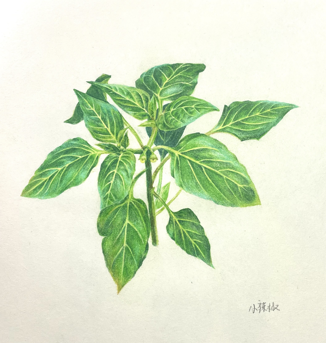 Artwork 17
