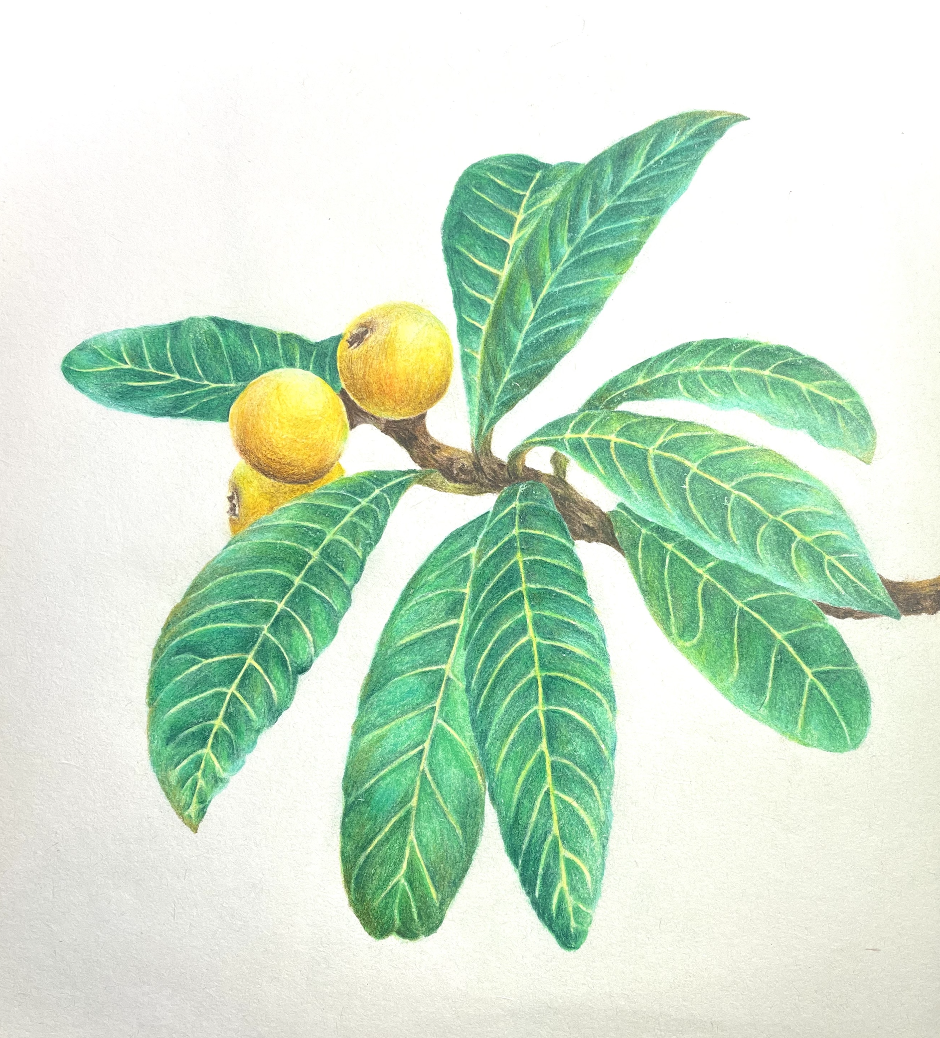 Artwork 20